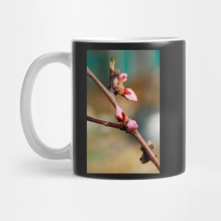 Almond Blossom Buds Mug